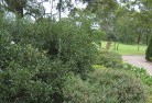 Ridgewood QLDresidential-landscaping-35.jpg; ?>