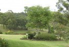 Ridgewood QLDresidential-landscaping-40.jpg; ?>